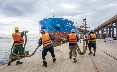 Dia do Portuário: trabalhadores enfrentam ameaça de precarização com proposta de fim da mão de obra avulsa