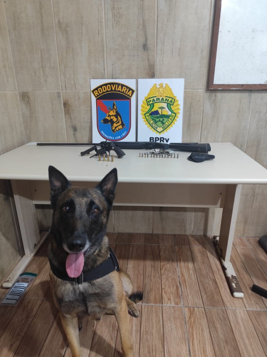 Polícia Militar apreende armas e munições durante Operação Verão em Pontal do Paraná
